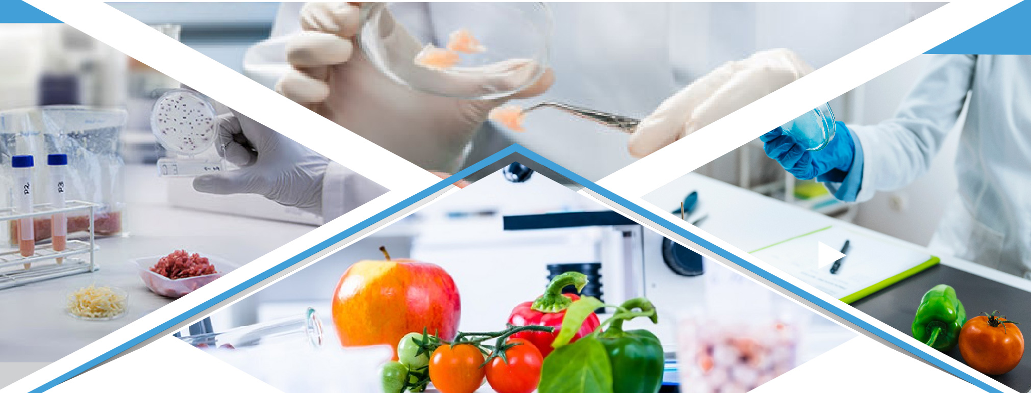 research and innovation in food science and technology