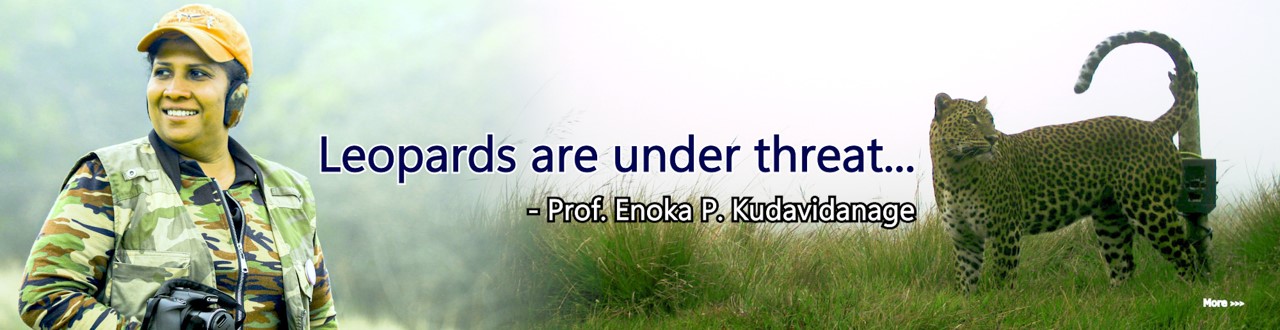 Learn more...