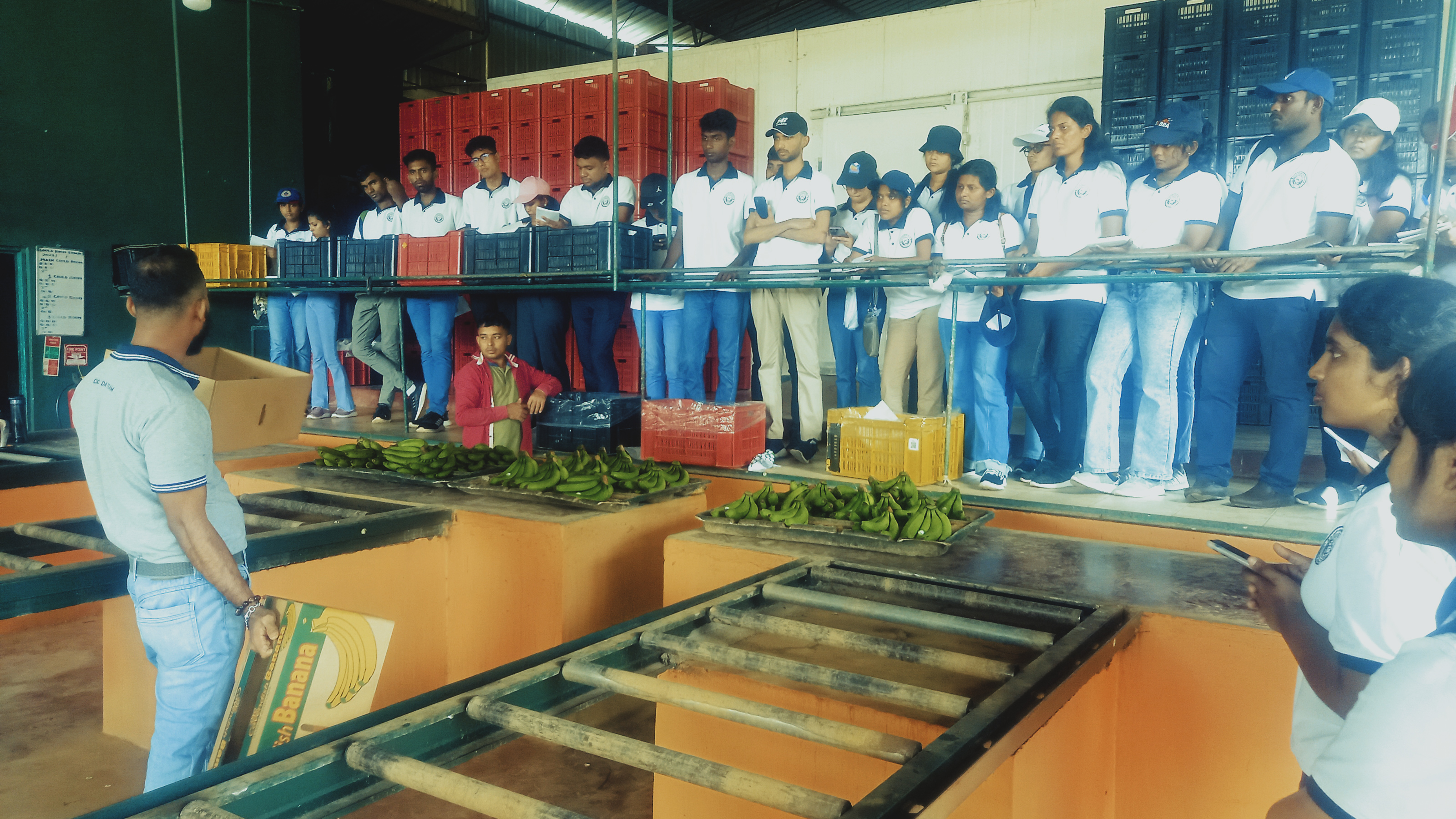 CIC Agri Farm