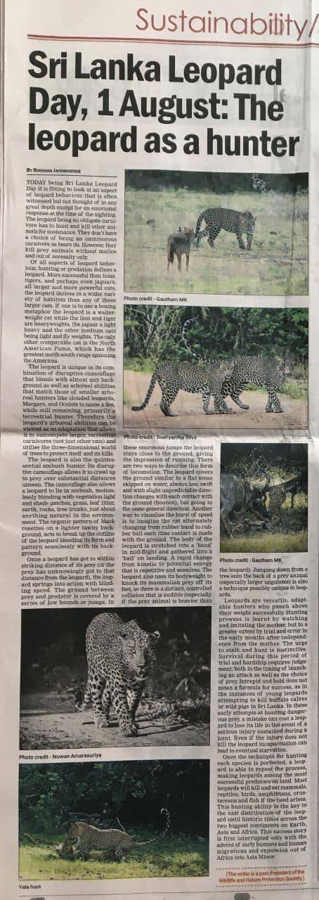 National Leopard Day