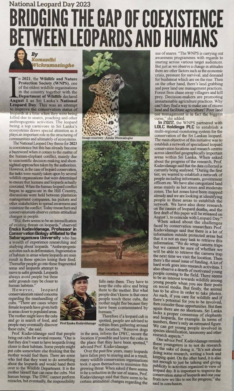 National Leopard Day