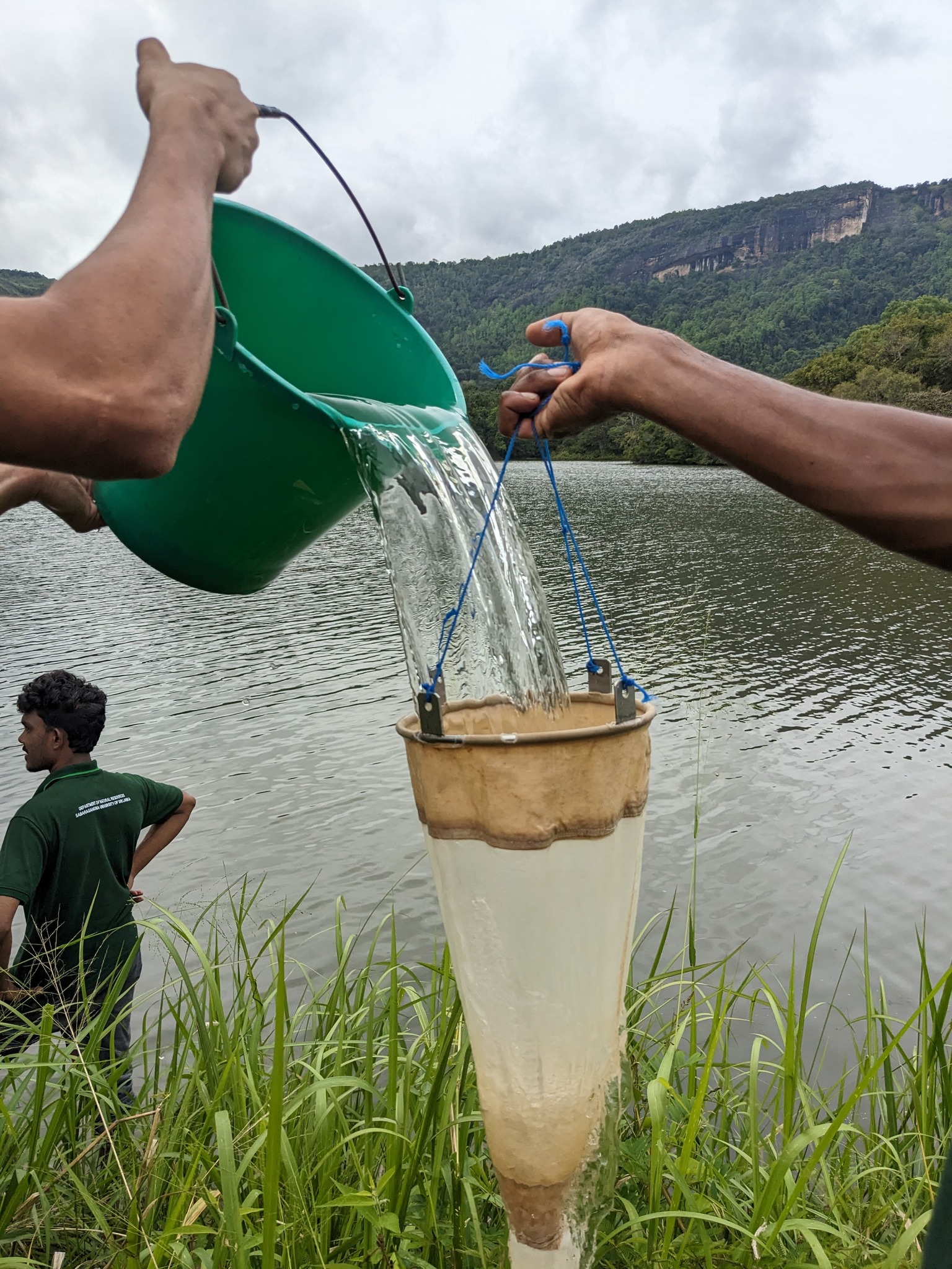 Limnology