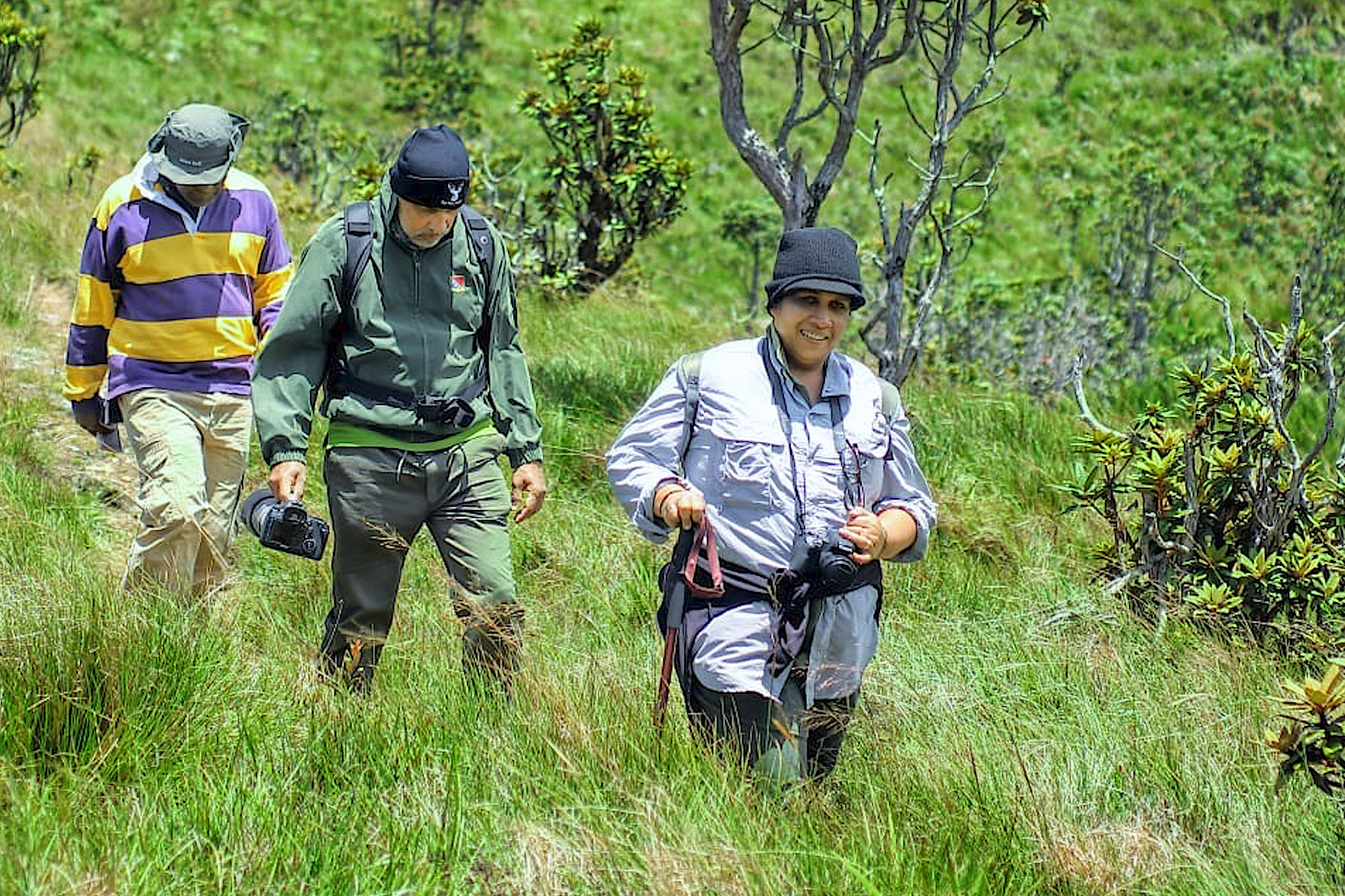 The Lizards Research Expedition