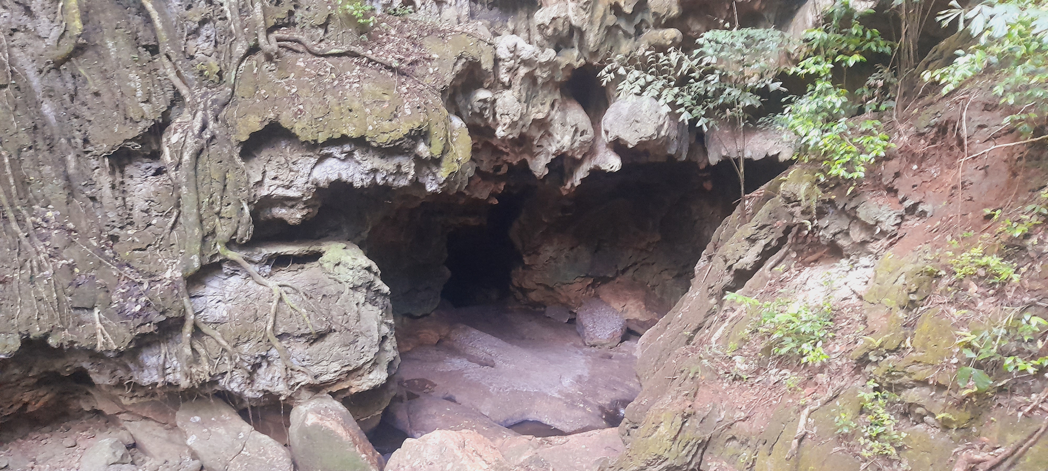 Students of the Department of Natural Resources took an interesting excursion to numerous sites important in Geodiversity and Geoconservation.