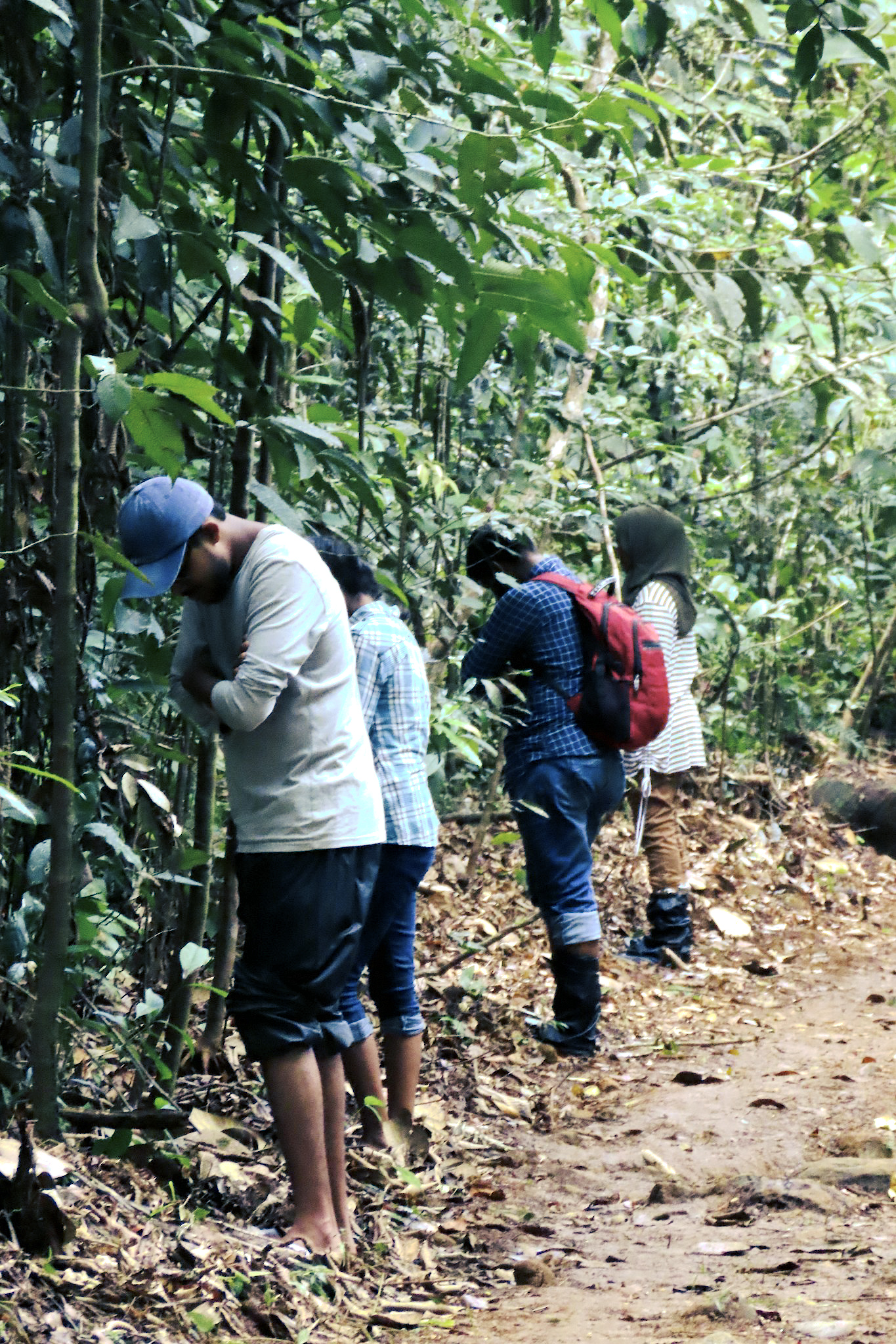A Field Visit