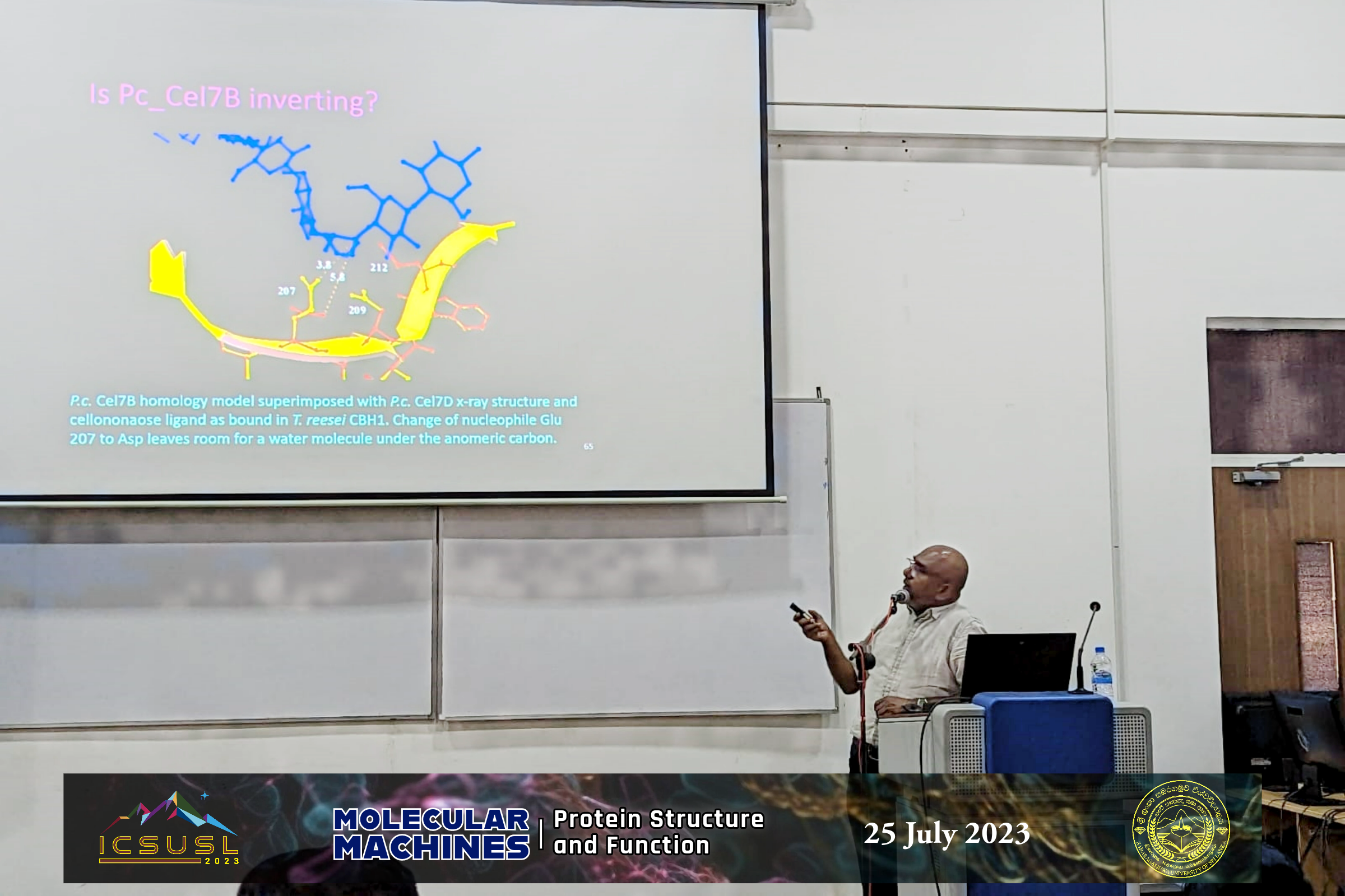 Molecular Machines - Protein Structure and Function