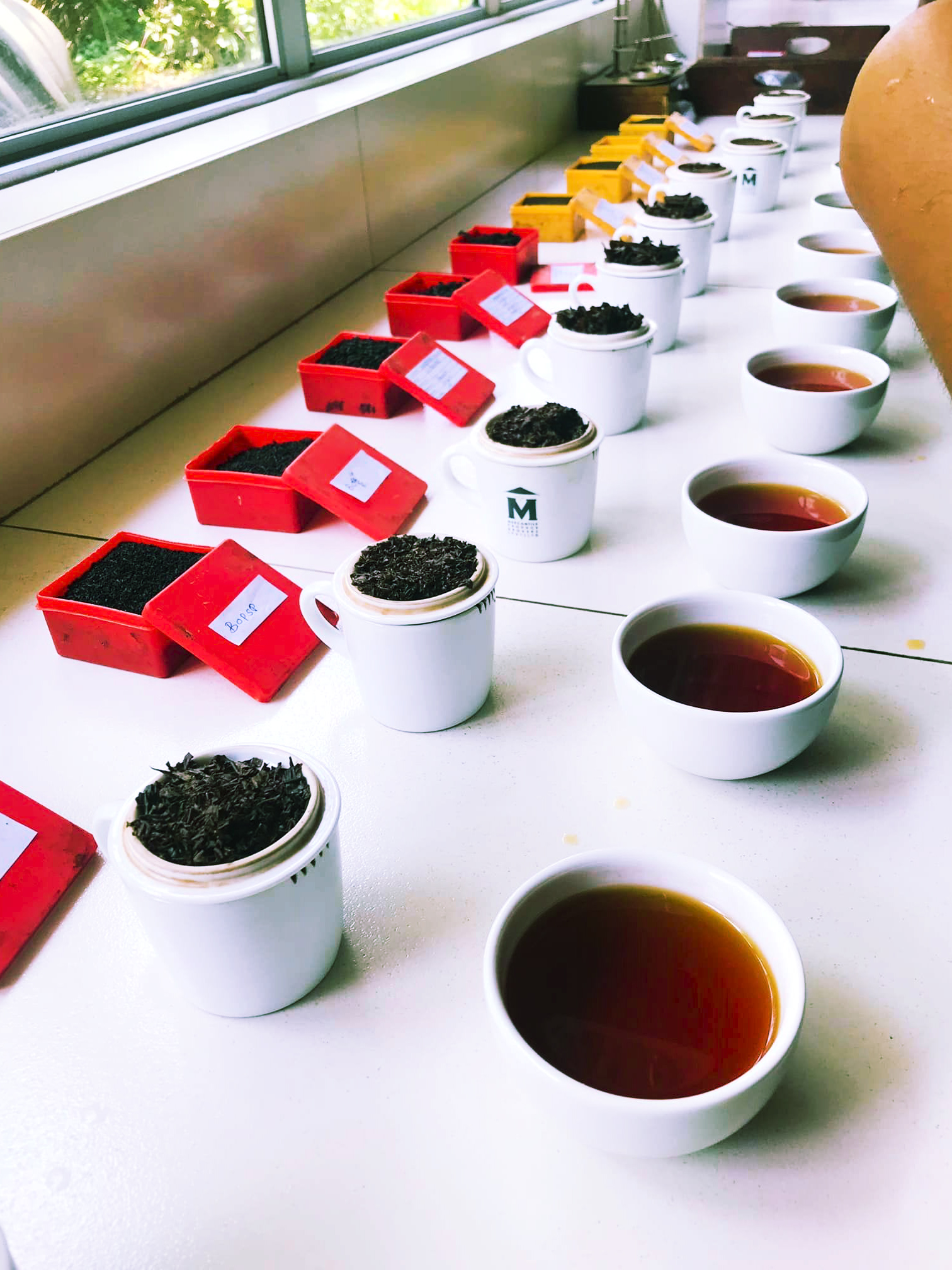 The Field Visit to the Ceciliyan Tea Factory in Kalawana