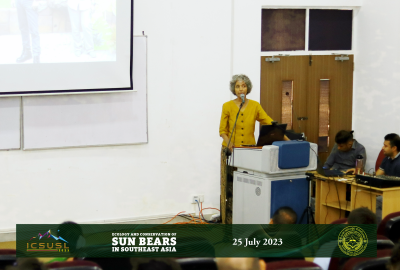 Sun Bears