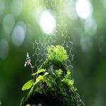 Natural Sciences and Technology