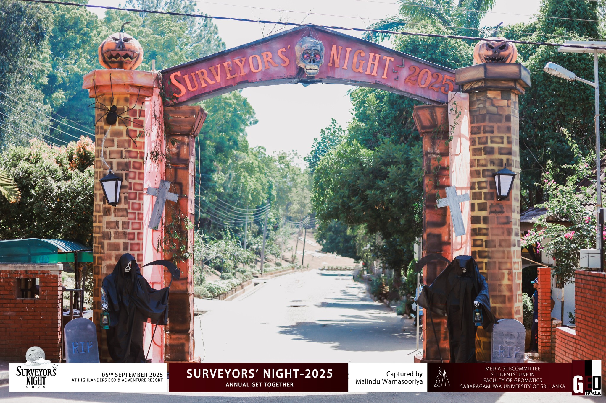 surveyNight