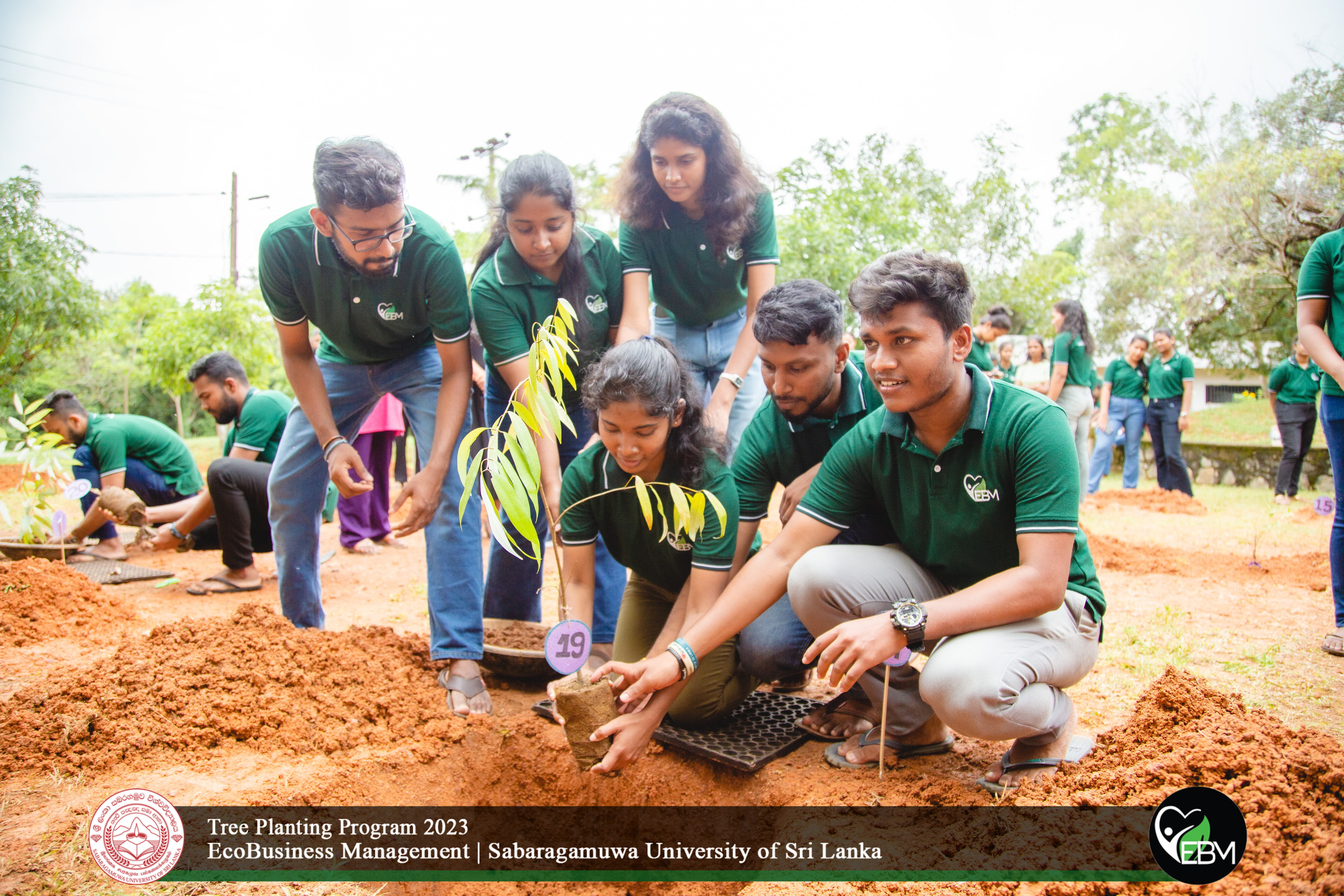 Tree Plantation Program