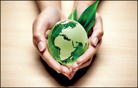 Impact of Green Banking Practices on the Environmental Performance of Banks: The Mediating Role of Green Financing in Sri Lanka