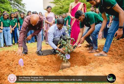 Tree Plantation Program