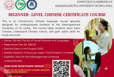 Launch of a Beginner-Level Chinese Certificate Course