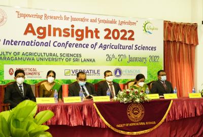 AgInsight 2022